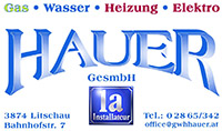 Hauer Logo neu